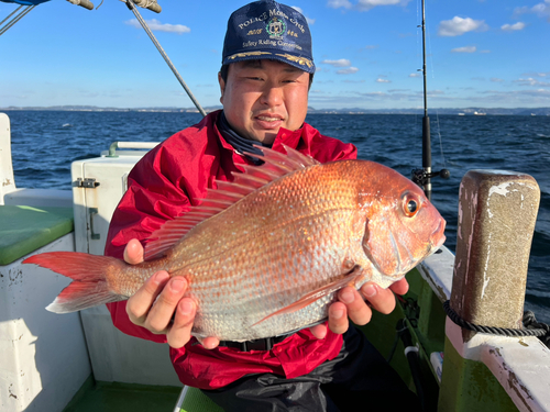 マダイの釣果