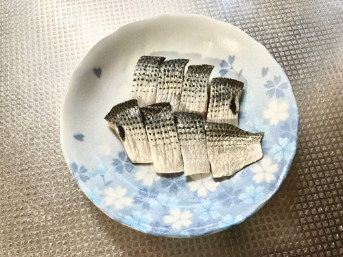 コノシロの釣果