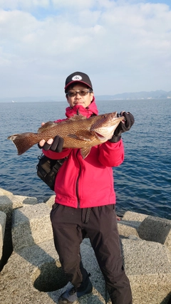 オオモンハタの釣果