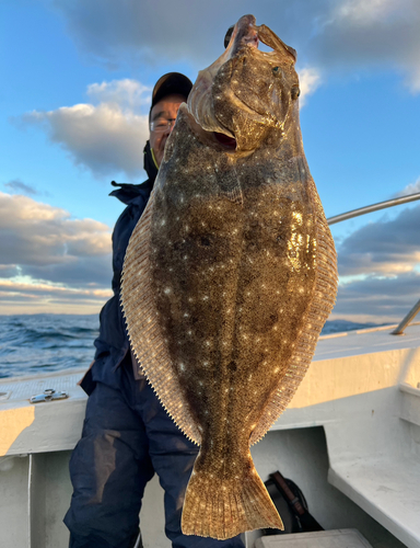 ヒラメの釣果