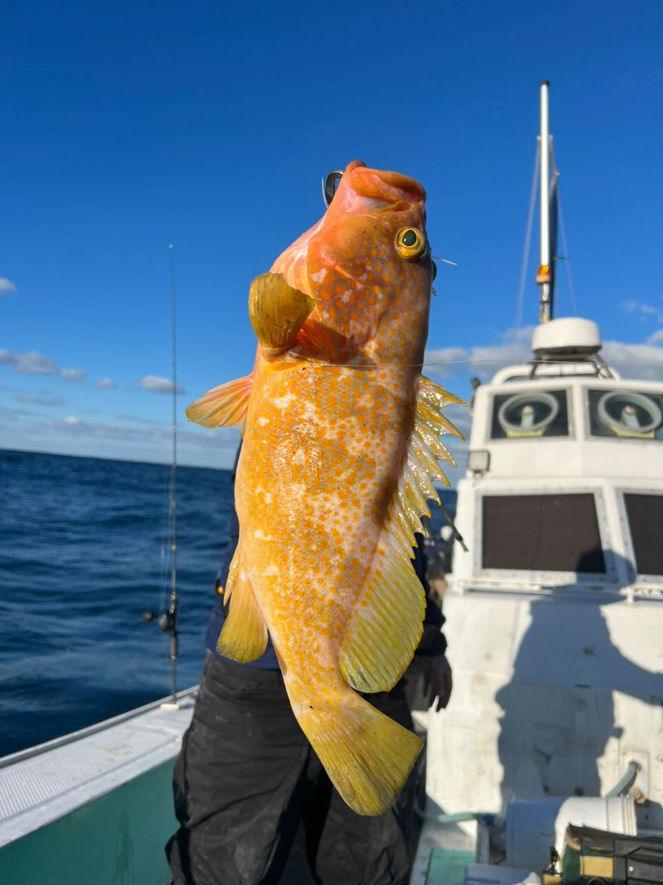 内山@遊漁船はやてさんの釣果 2枚目の画像