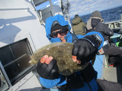 ヒラメの釣果