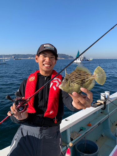 カワハギの釣果