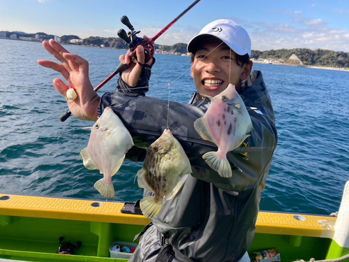 カワハギの釣果