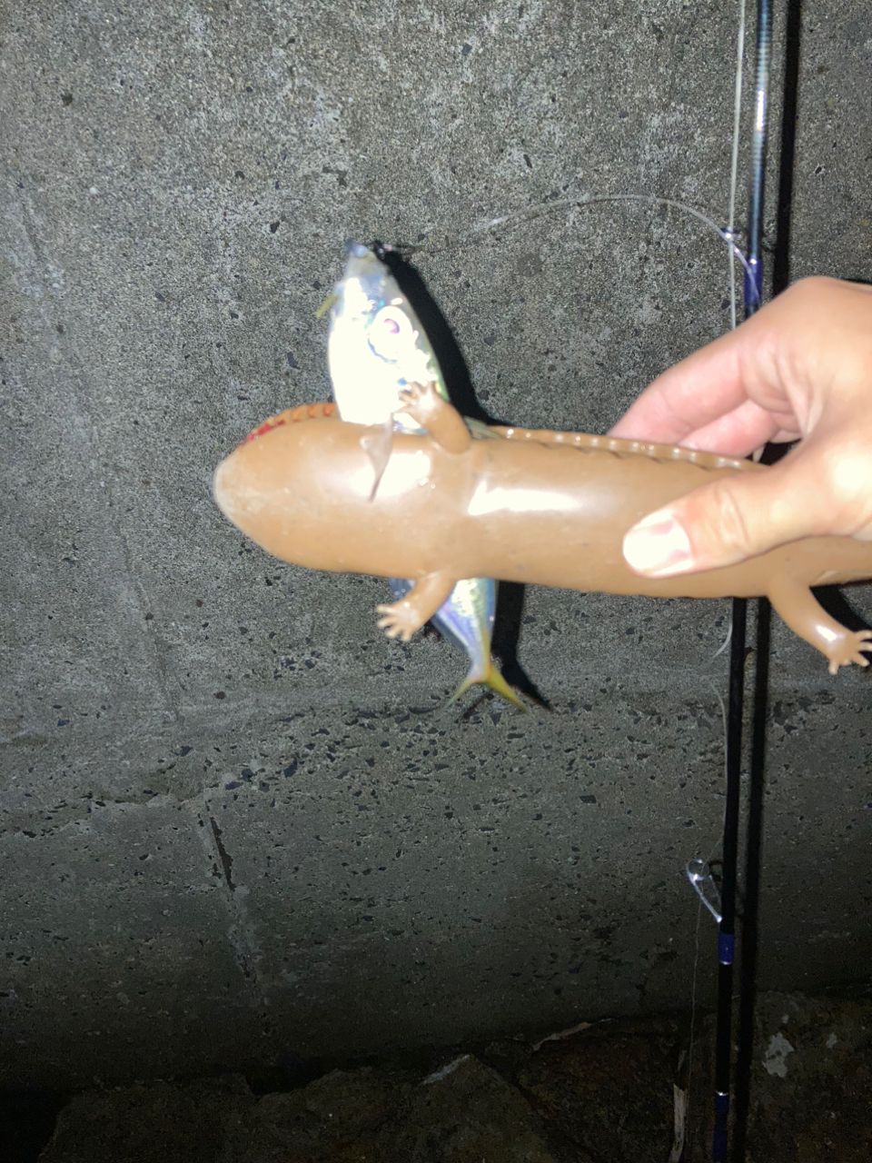 アジ