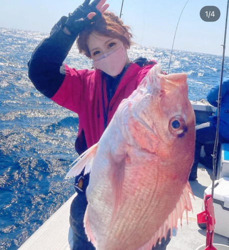 タイの釣果