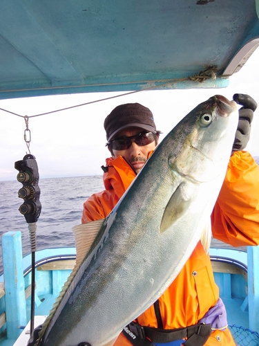 メジロの釣果