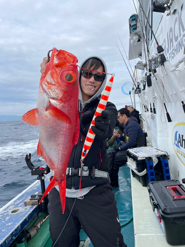 キンメダイの釣果