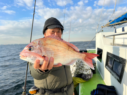 マダイの釣果