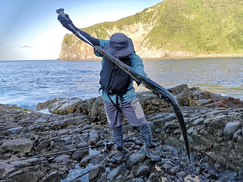 アオヤガラの釣果