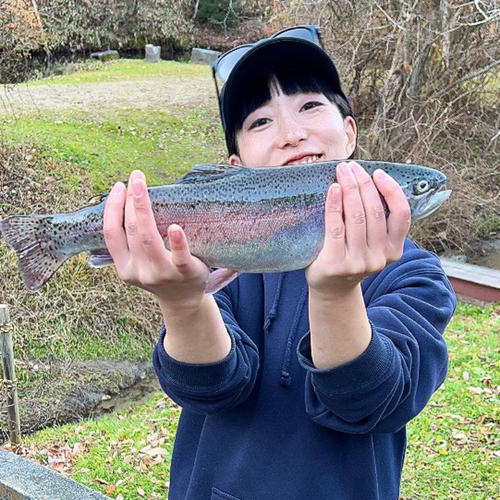 ニジマスの釣果