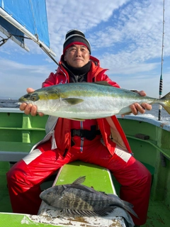 ブリの釣果