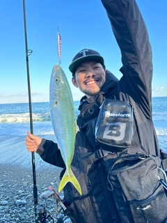 イナダの釣果