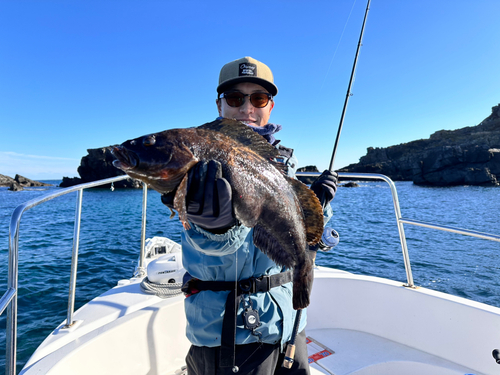 アイナメの釣果