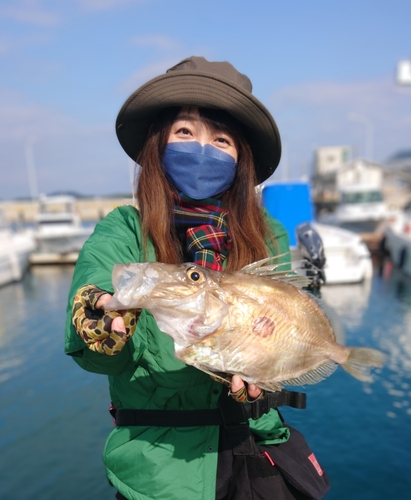 マトウダイの釣果