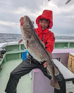 マダラの釣果