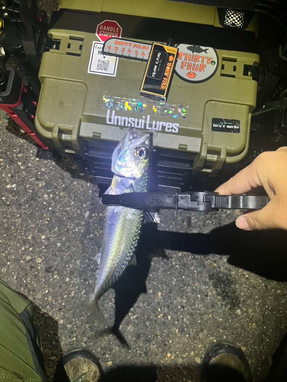 サバ