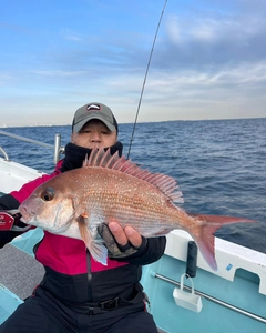 マダイの釣果