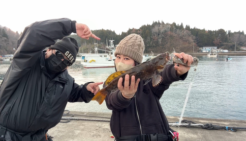 アイナメの釣果