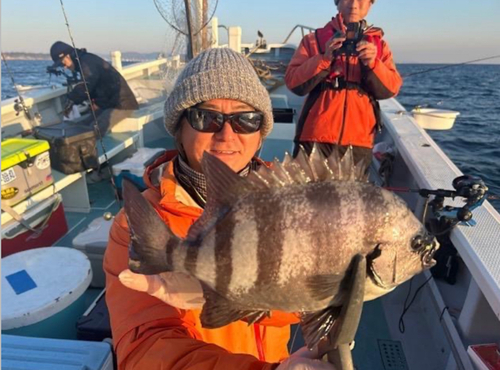 イシダイの釣果