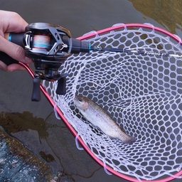 釣り人むうの釣果