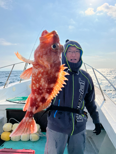 ウッカリカサゴの釣果