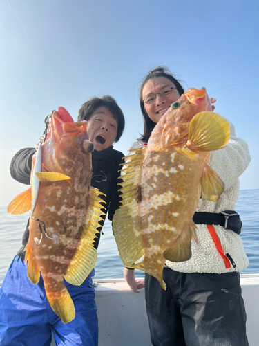 キジハタの釣果