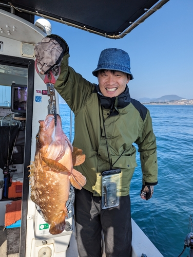 アコウの釣果