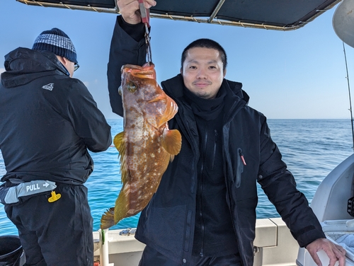 アコウの釣果