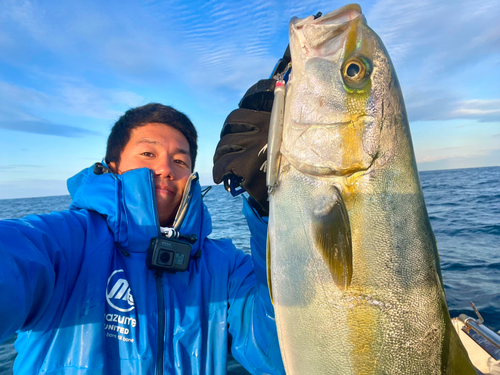 ヒラマサの釣果