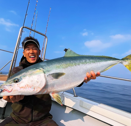 ブリの釣果