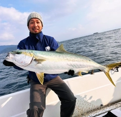 ヒラマサの釣果