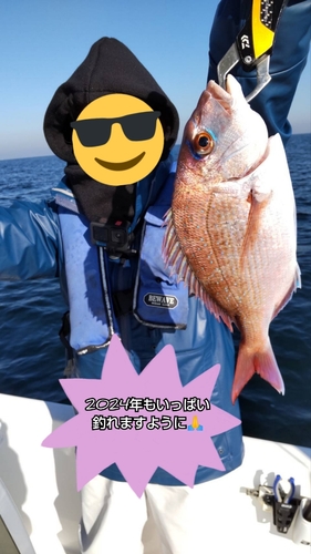 マダイの釣果