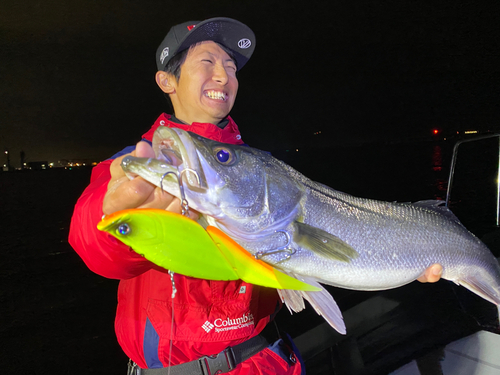 シーバスの釣果