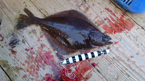 ソウハチの釣果