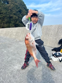 タイの釣果