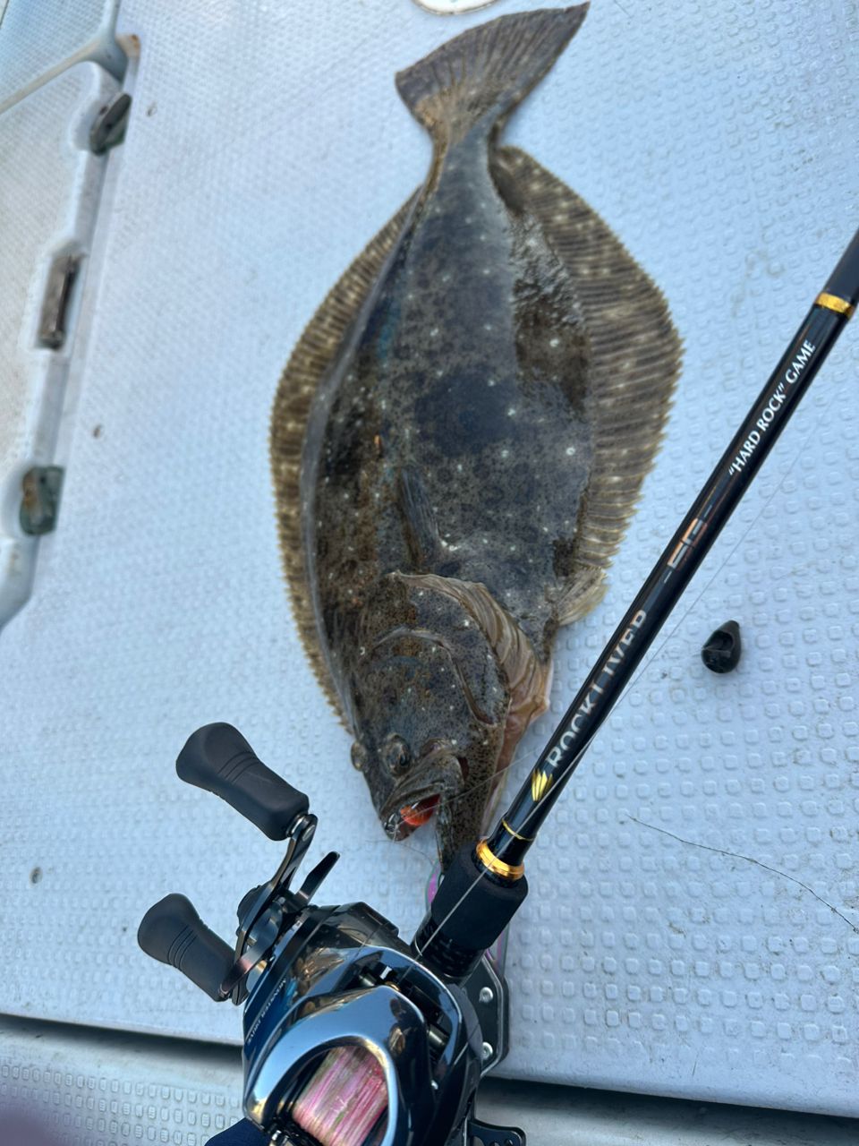 イワタカズキ🎣🐟さんの釣果 2枚目の画像