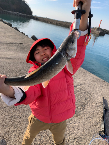 ウグイの釣果