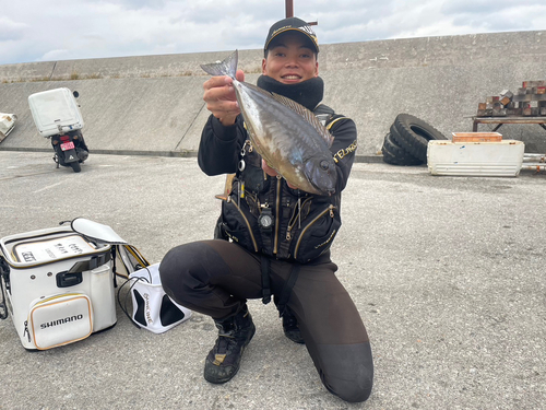 テングハギモドキの釣果