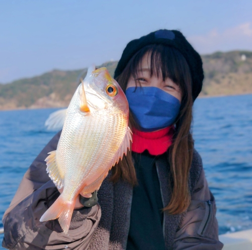 レンコダイの釣果