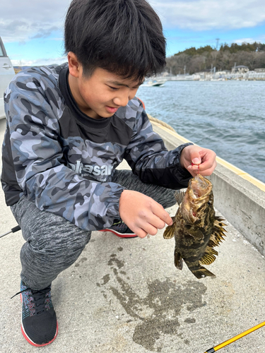 ベッコウゾイの釣果