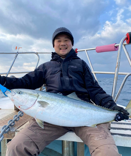 ブリの釣果