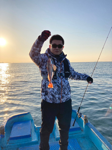 ホウボウの釣果