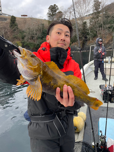 アイナメの釣果