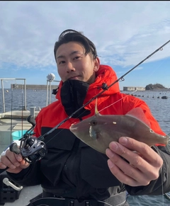 ウマヅラハギの釣果