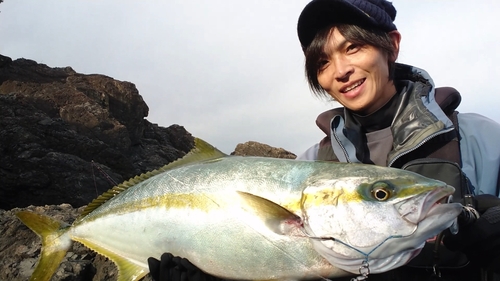 ヒラマサの釣果