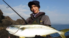 ヒラマサの釣果