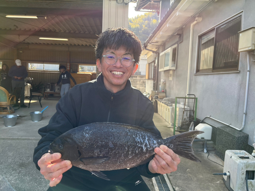 オナガグレの釣果