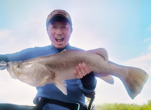 バラマンディの釣果