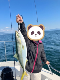 ハマチの釣果